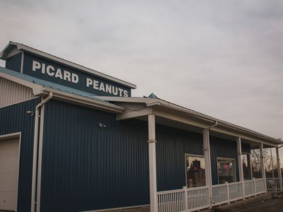 Picard Peanuts Ltd.